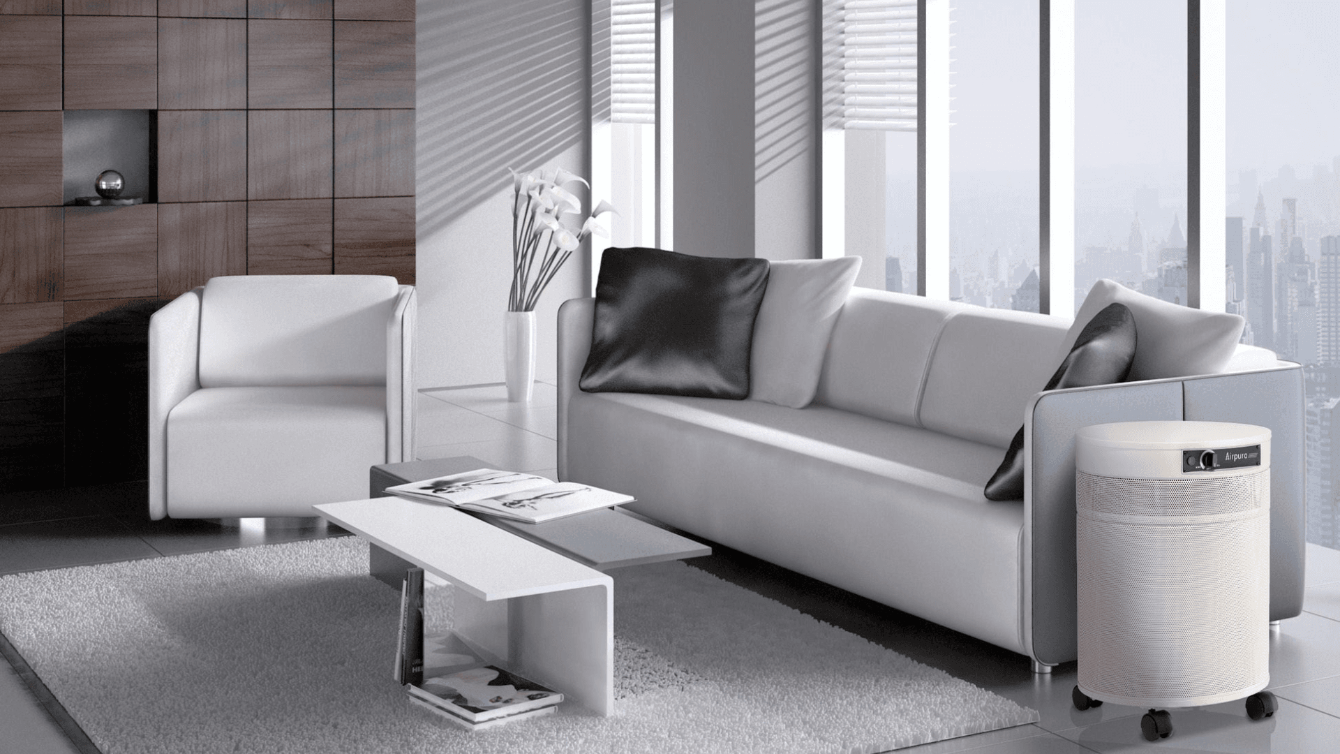 The Airpura 700 Series is a high-capacity air purifier designed for larger rooms, open-concept homes, and environments with more demanding air quality concerns. This in-depth, unbiased review explains what the Airpura 700 does well, where it makes the most sense, and what you should consider before buying, including airflow, filtration options, noise, footprint, and long-term maintenance.